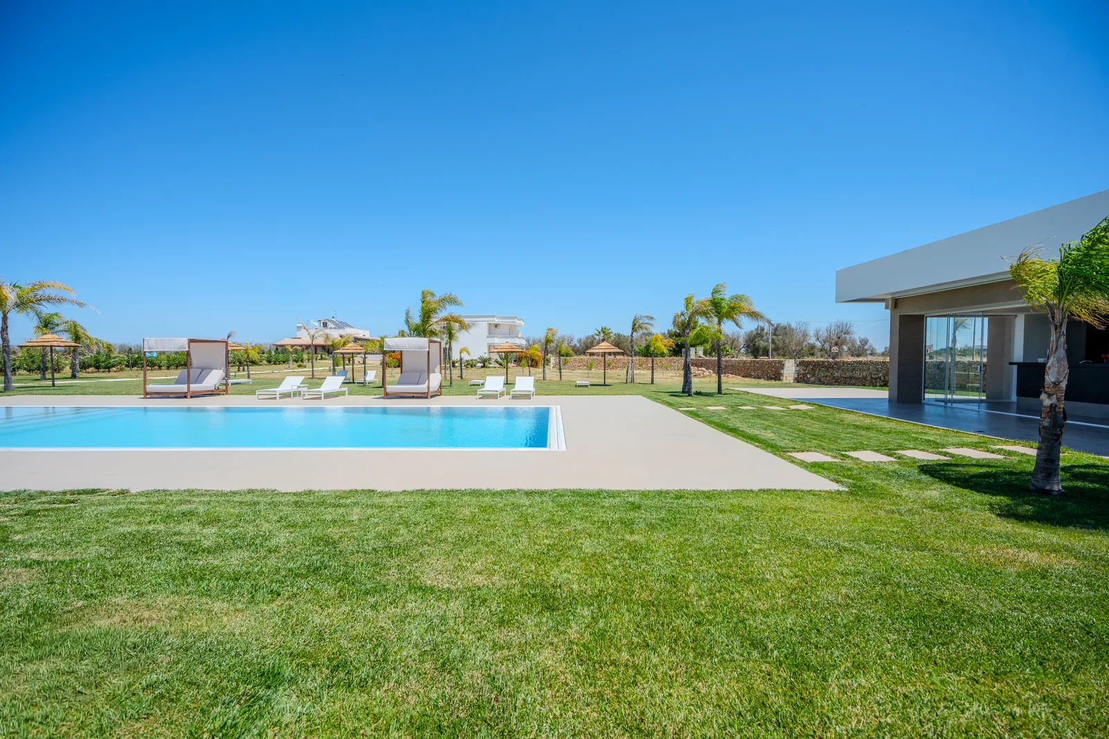 Piscina tra le palme