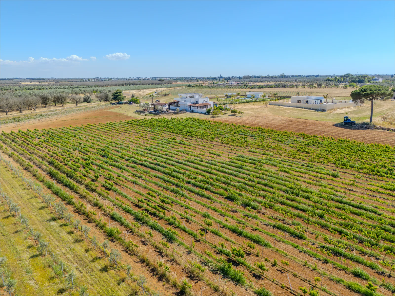 Il territorio del Salento intorno a Tenuta Bruni